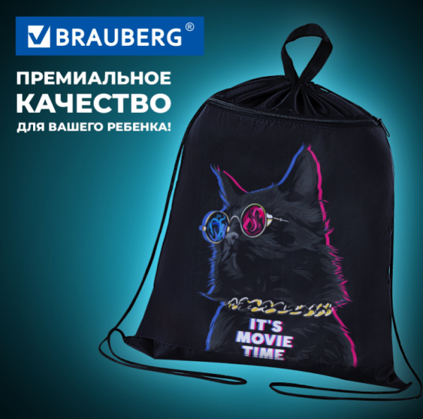 Мешок для обуви BRAUBERG, с петлёй, карман на молнии, 47х37 см., рисунок Кот в очках